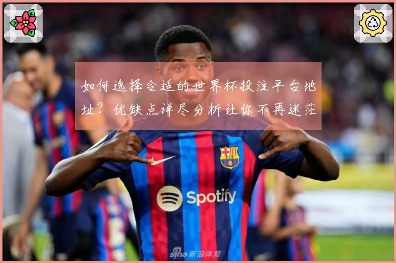 如何选择合适的世界杯投注平台地址？优缺点详尽分析让你不再迷茫