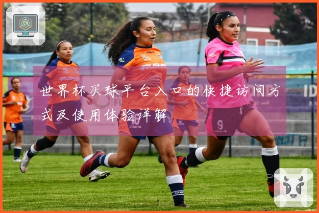 世界杯买球平台入口的快捷访问方式及使用体验详解