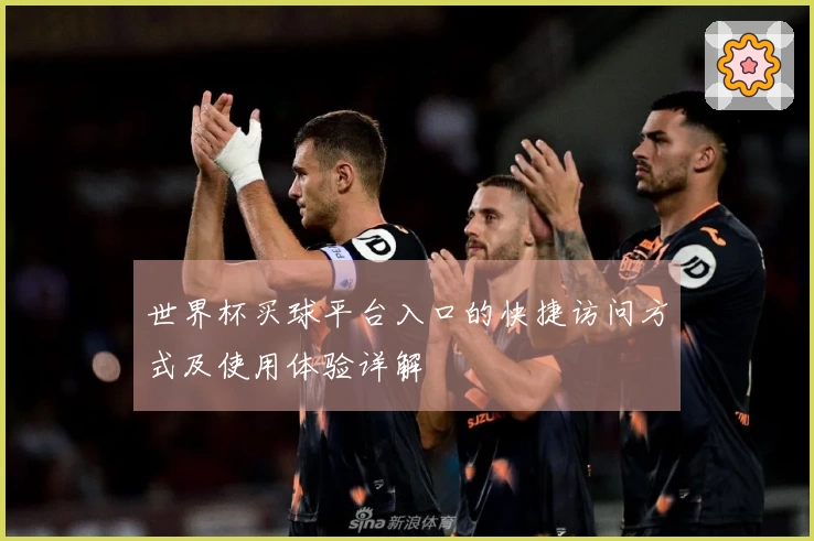 世界杯买球平台入口的快捷访问方式及使用体验详解